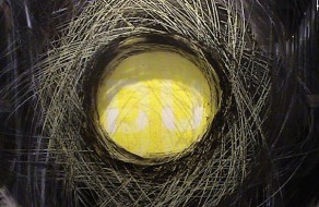 Ausstellung „…und es ist die Liebe doch!“ (ENDLESS), Phase 2, 2002